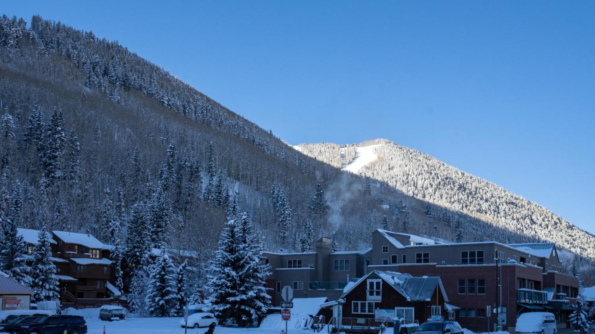 One Block Walk To Gondola, Lockers Downstairs, River Trail Close By! Telluride