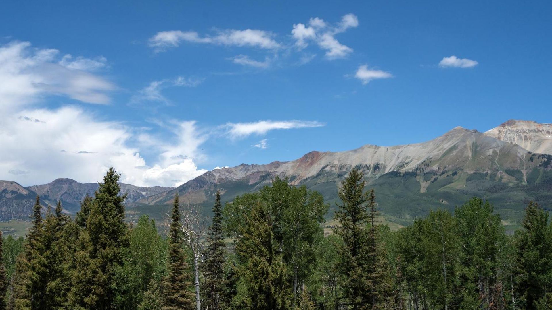 Bear Creek 310 By Alpine Apartment
