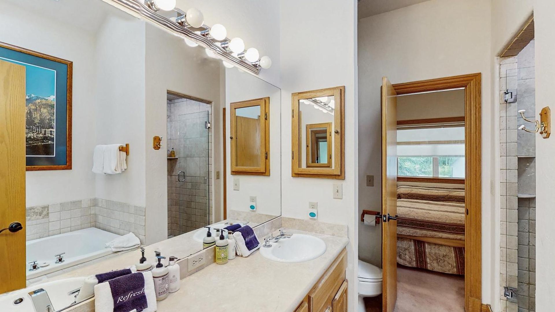 Cimarron Mountain Retreat Telluride