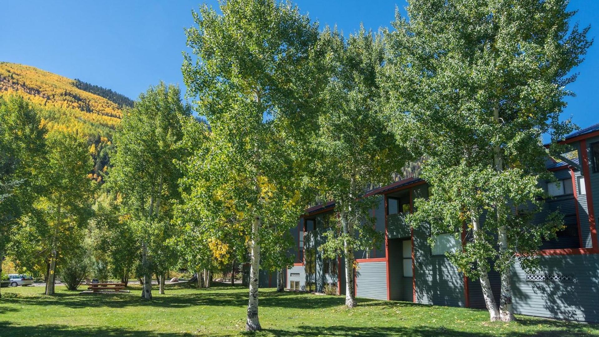 Space For All! Close To Lift 7, Fireplace, Hot Tub * Telluride