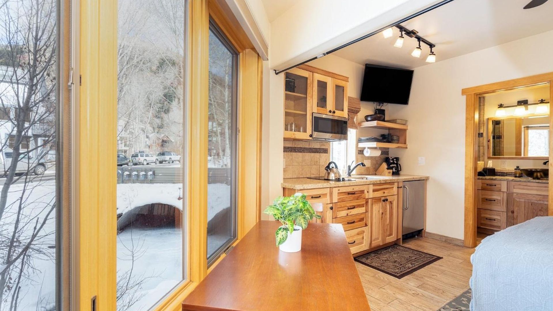 Apartment Viking 100ab Telluride