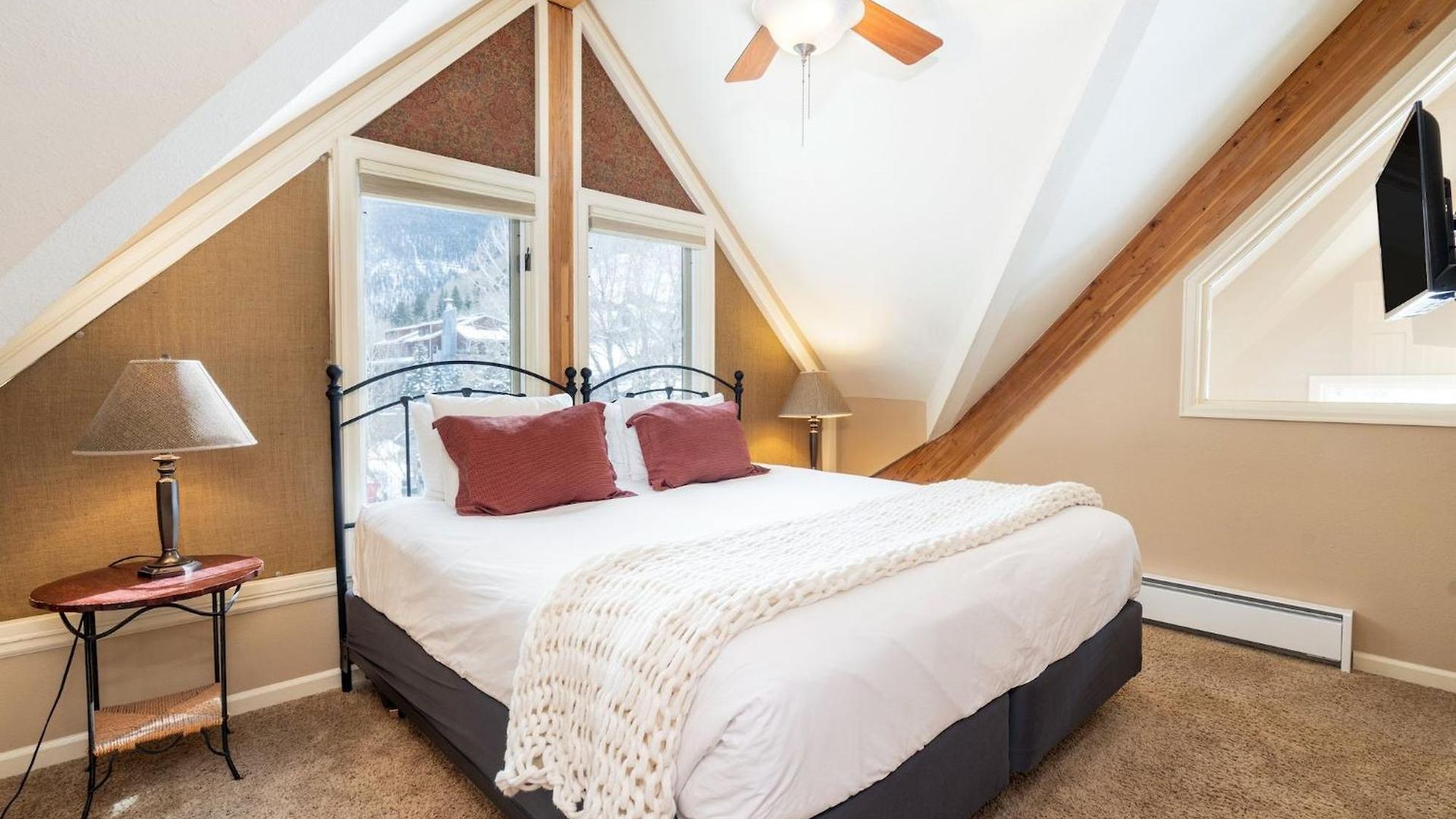 Apartment Viking 100ab Telluride