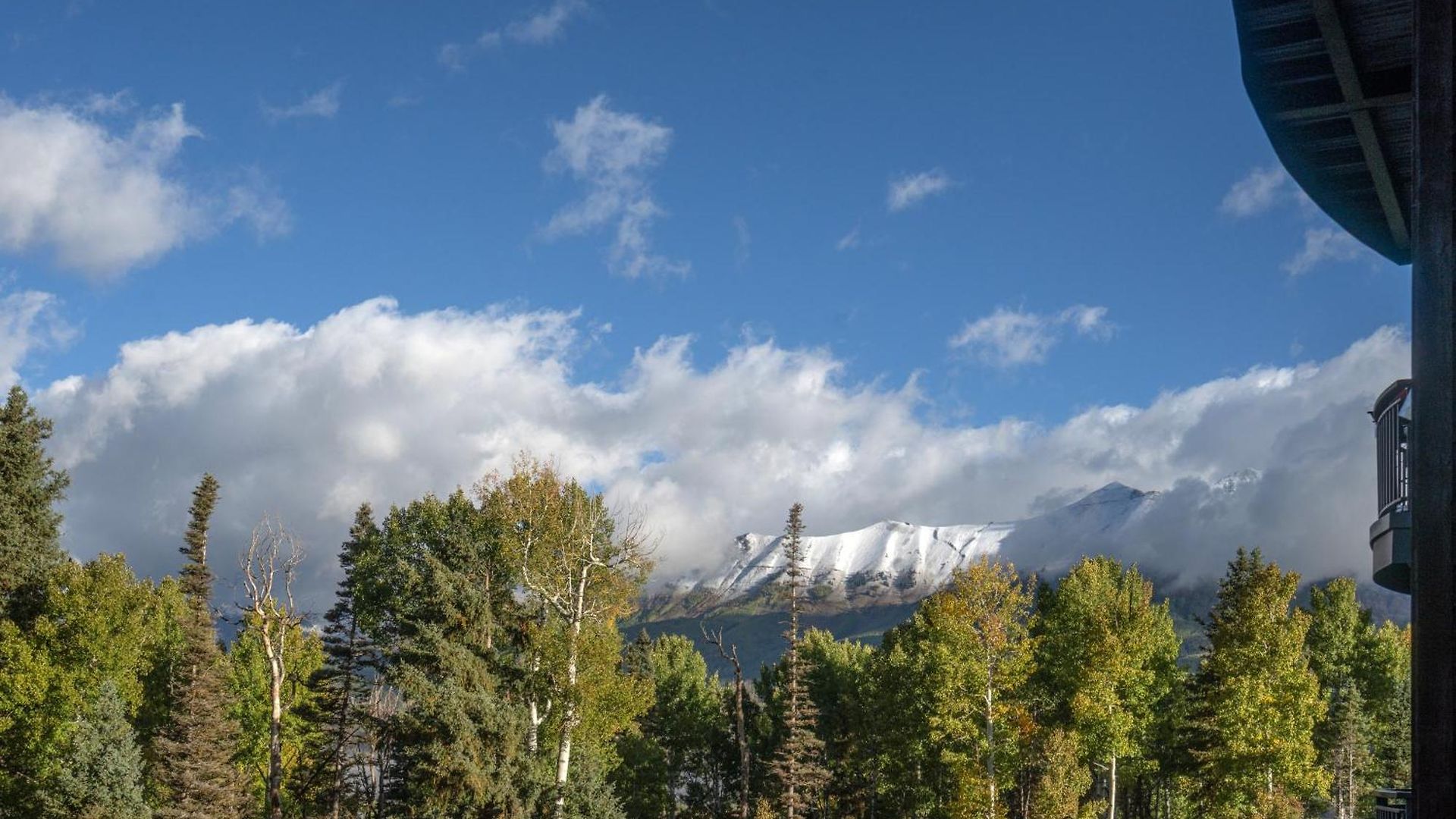 Bear Creek 211 By Alpine