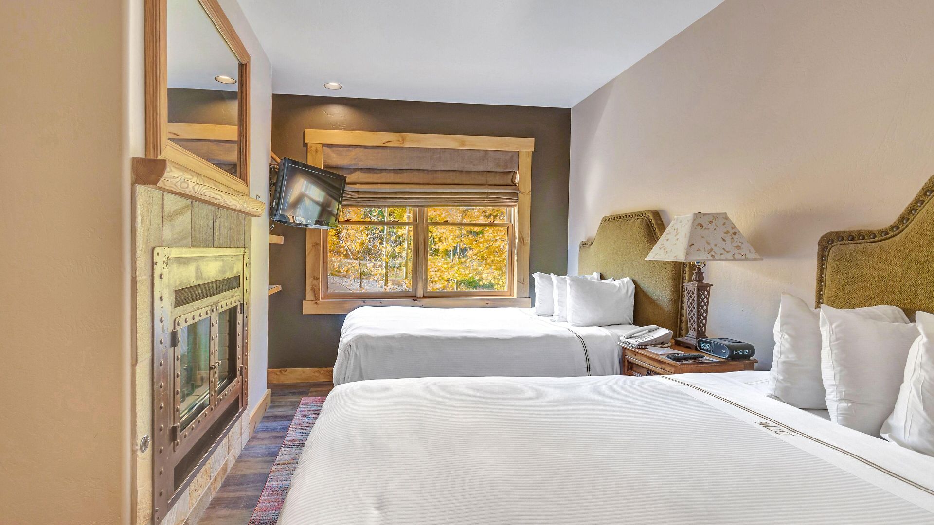 Mountain Lodge Telluride