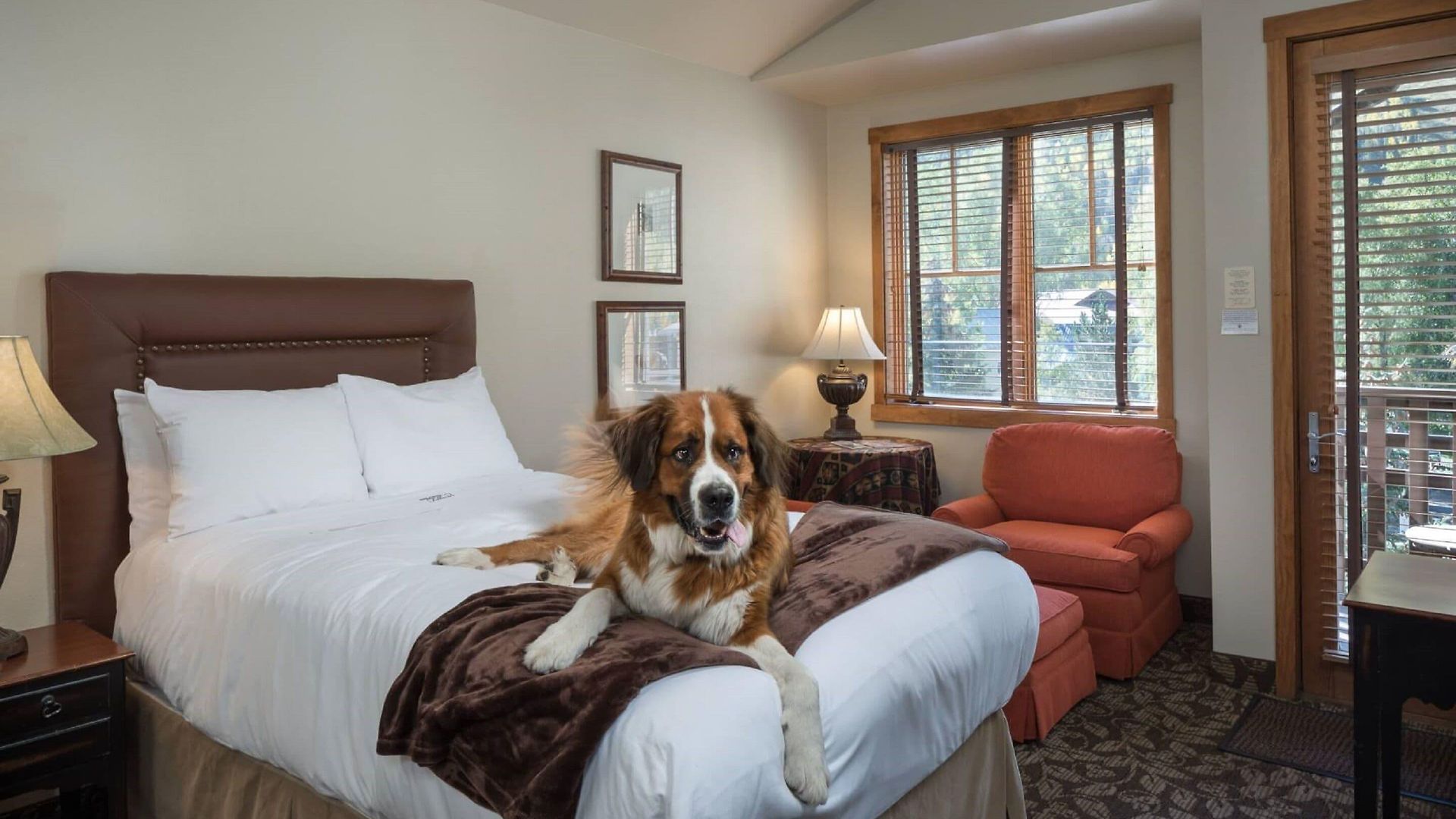Hotel The 4*