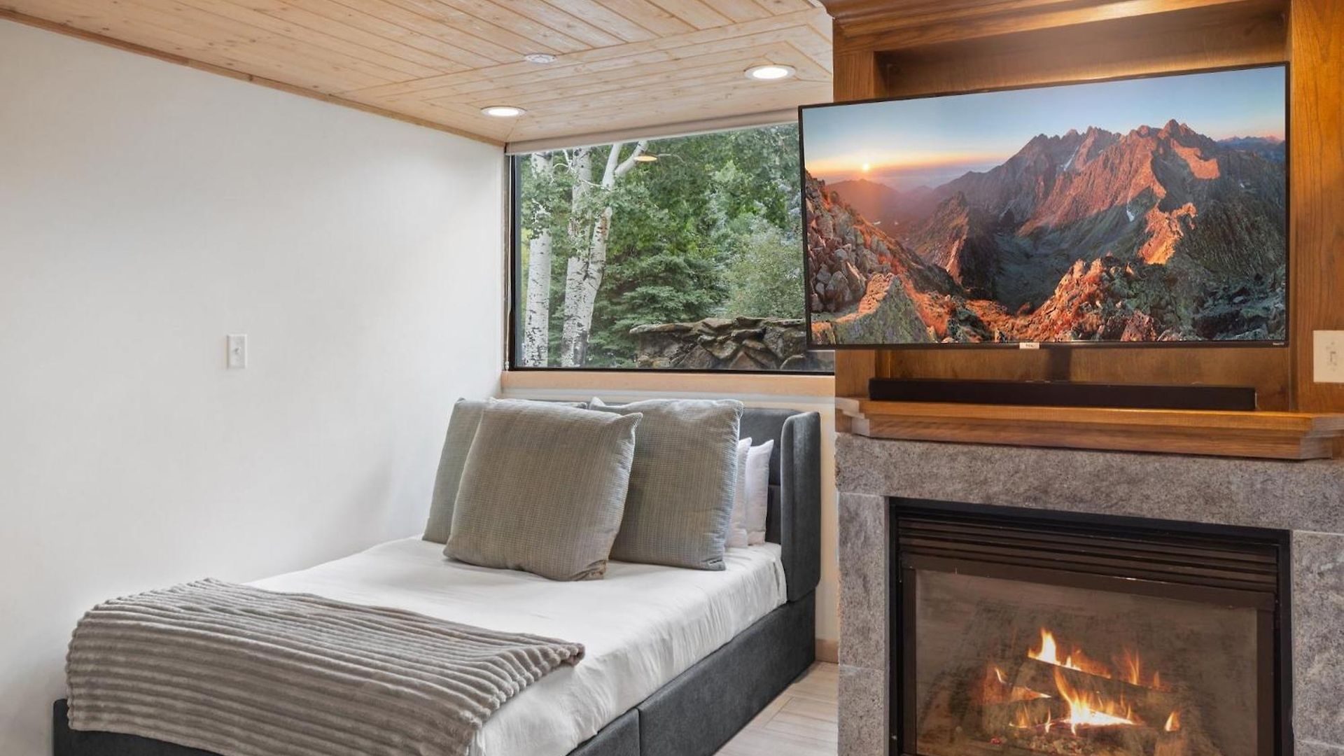 Apartment 324 Telluride