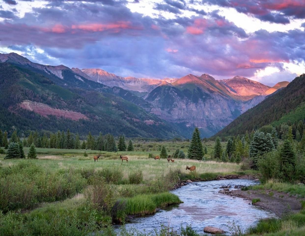 Apartment 324 Telluride