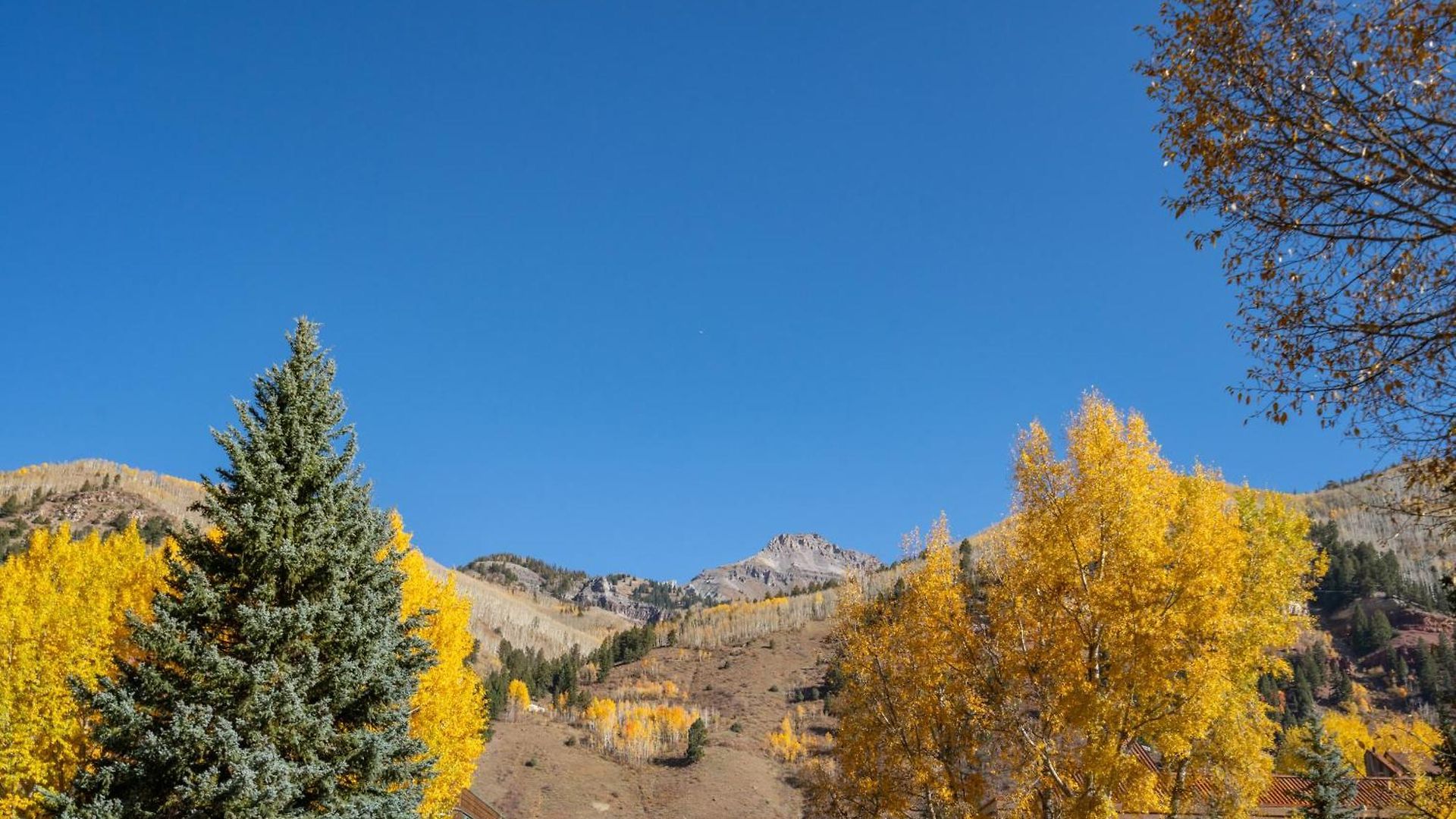 Riverside A101 - Riverside Hummingbird Apartment Telluride