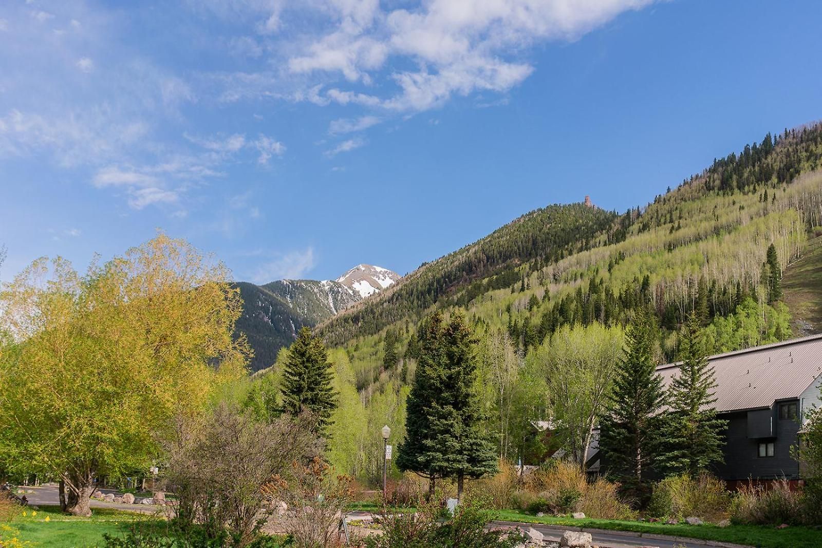Lulu 6p Liftside Walk To Gondola 2bd Loft 2ba Sleeps 6 Apartment Telluride