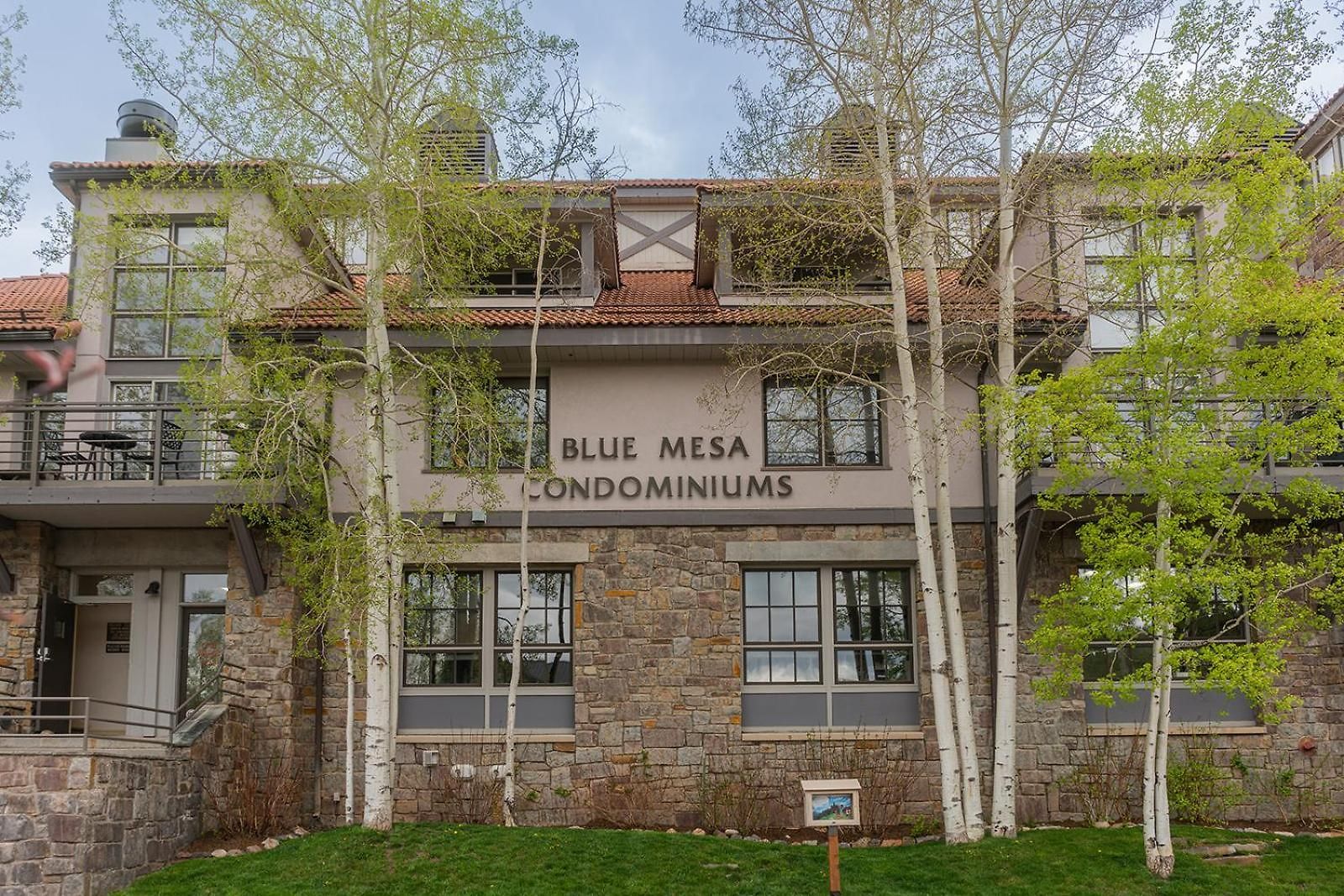 Blue Mesa 2 Inout Hot Tub Access 3bd 3ba Sleeps 8-12 * Telluride