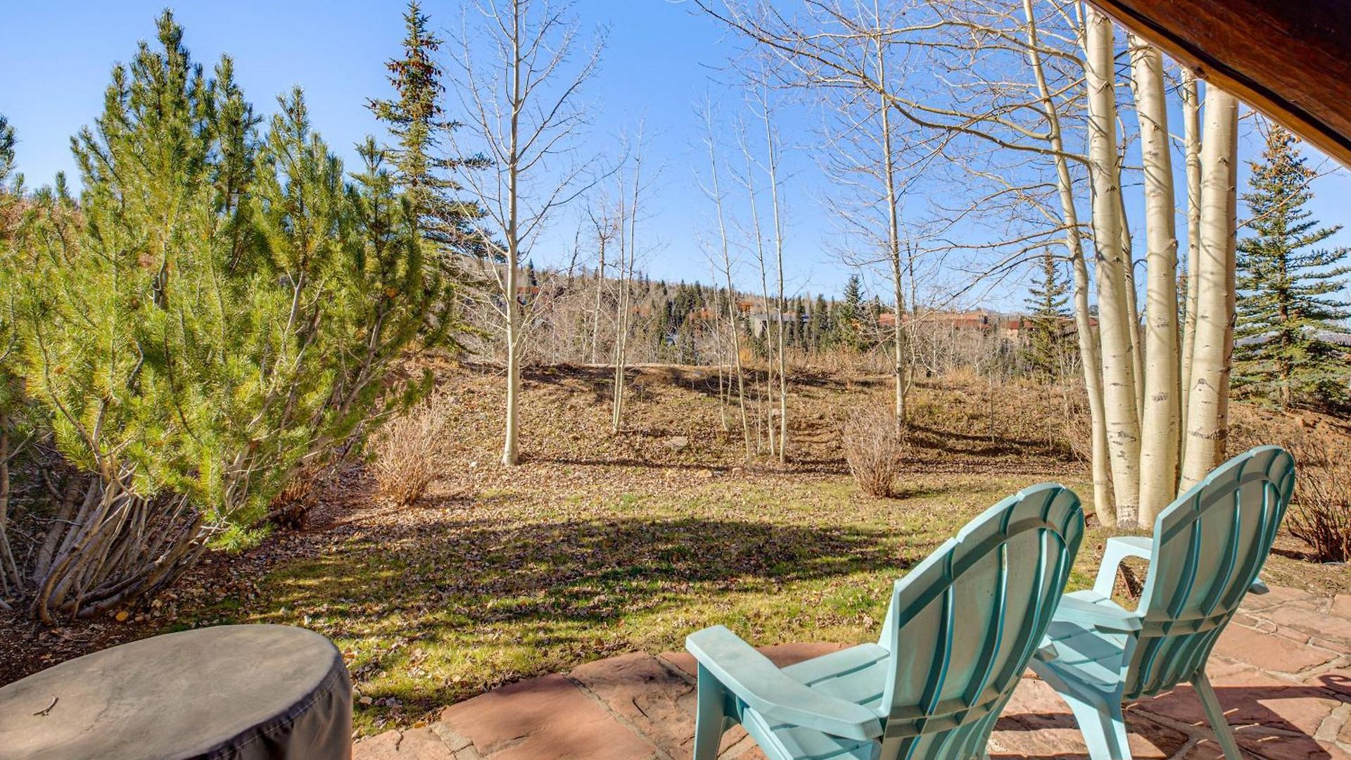 Luxurious Ski-in/ski-out Mountain Escape * Telluride