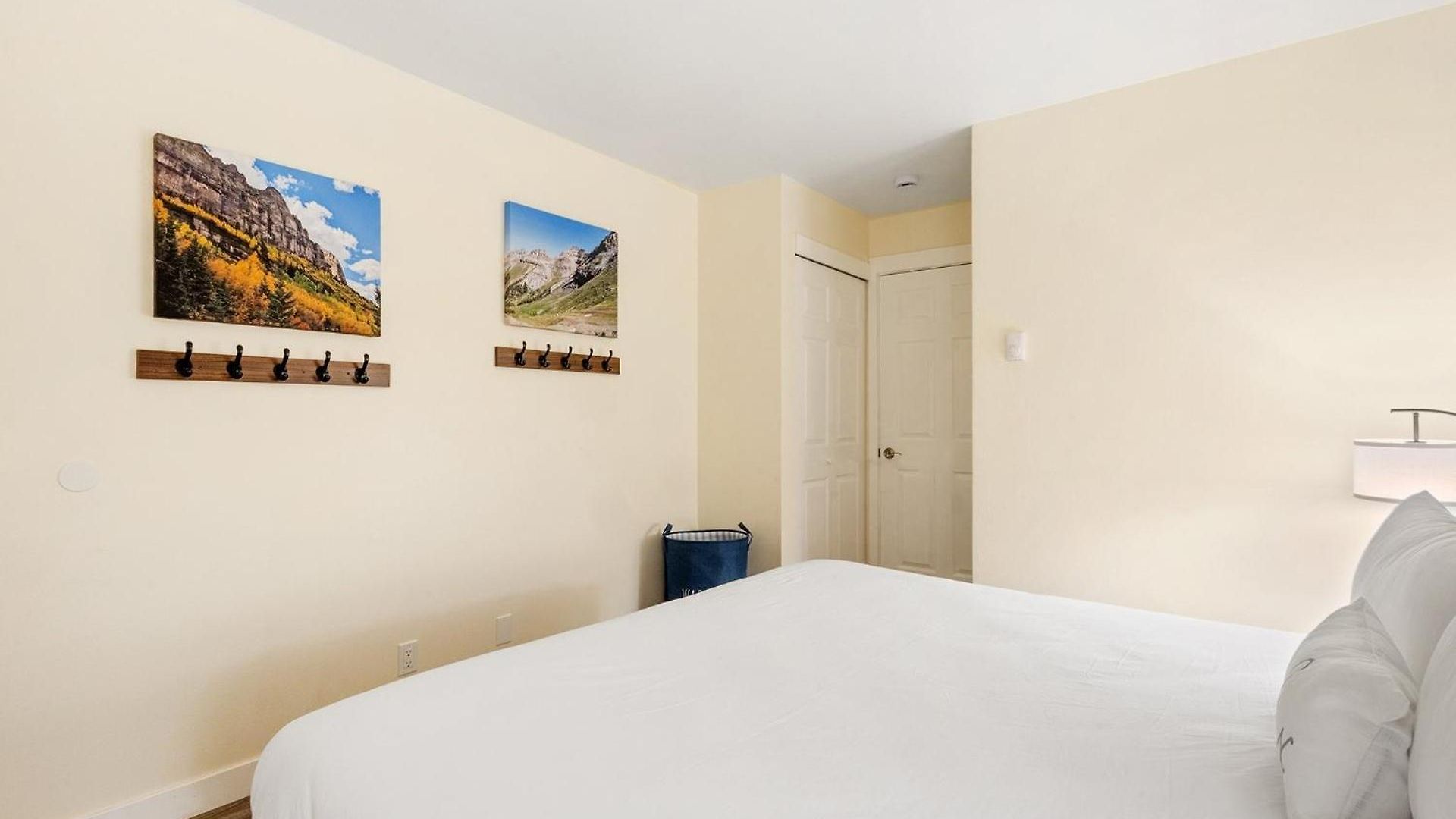 Fall Line 107 Apartment Telluride