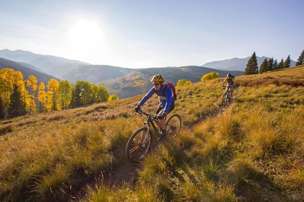 Fall Line 107 * Telluride