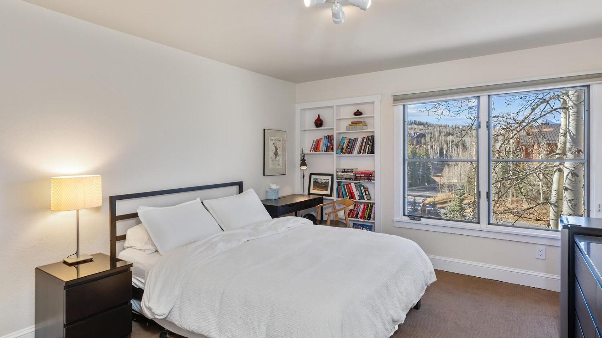 Apartment Blue Mesa 4 Liftside Hot Tub Access 3bd 2.5ba Sleeps 8 Telluride