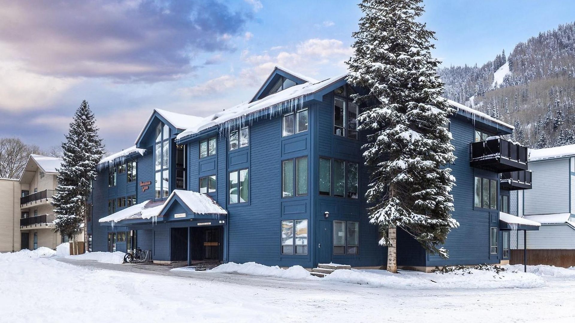 Apartment Big & Bright Hidden Gem With Garage, Hot Tub, Lux Kitchen Telluride