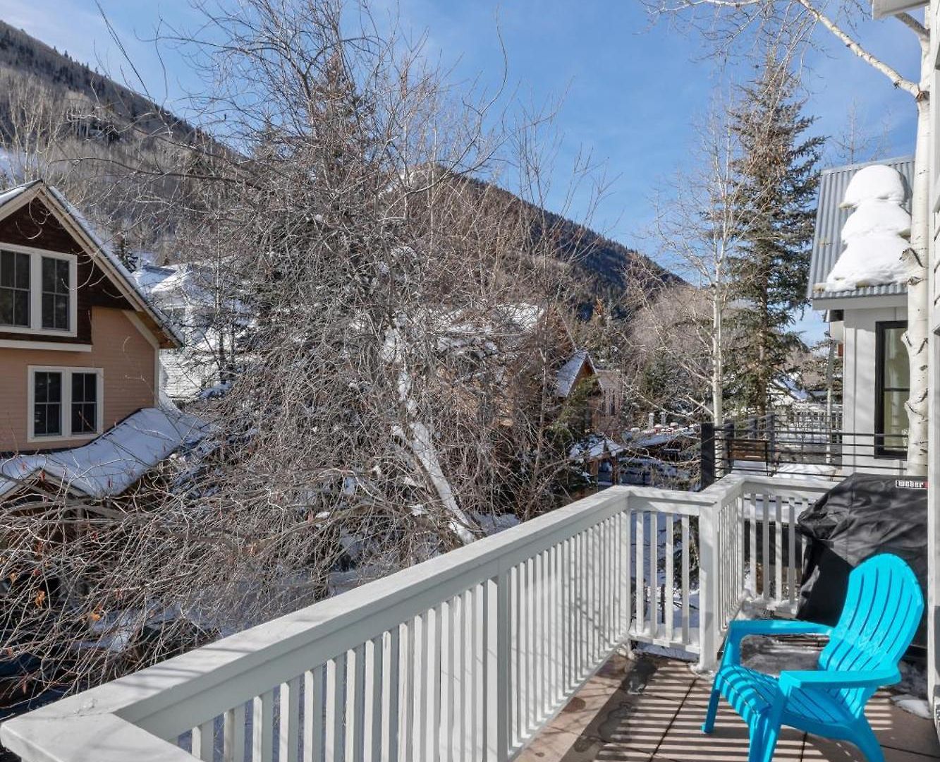 445 West Depot - Elevated Comfort Telluride