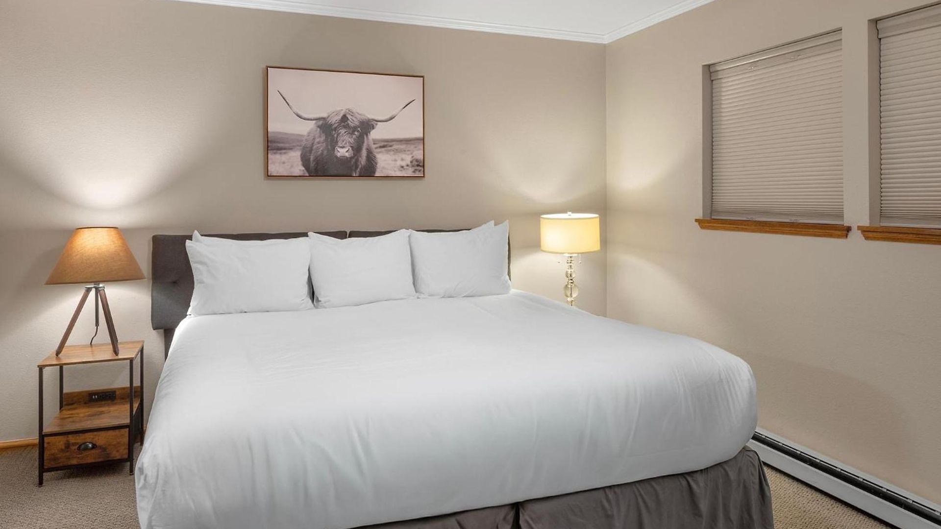 West End Winner - Hot Tub, Parking, Open Kitchen & Living Space Apartment Telluride