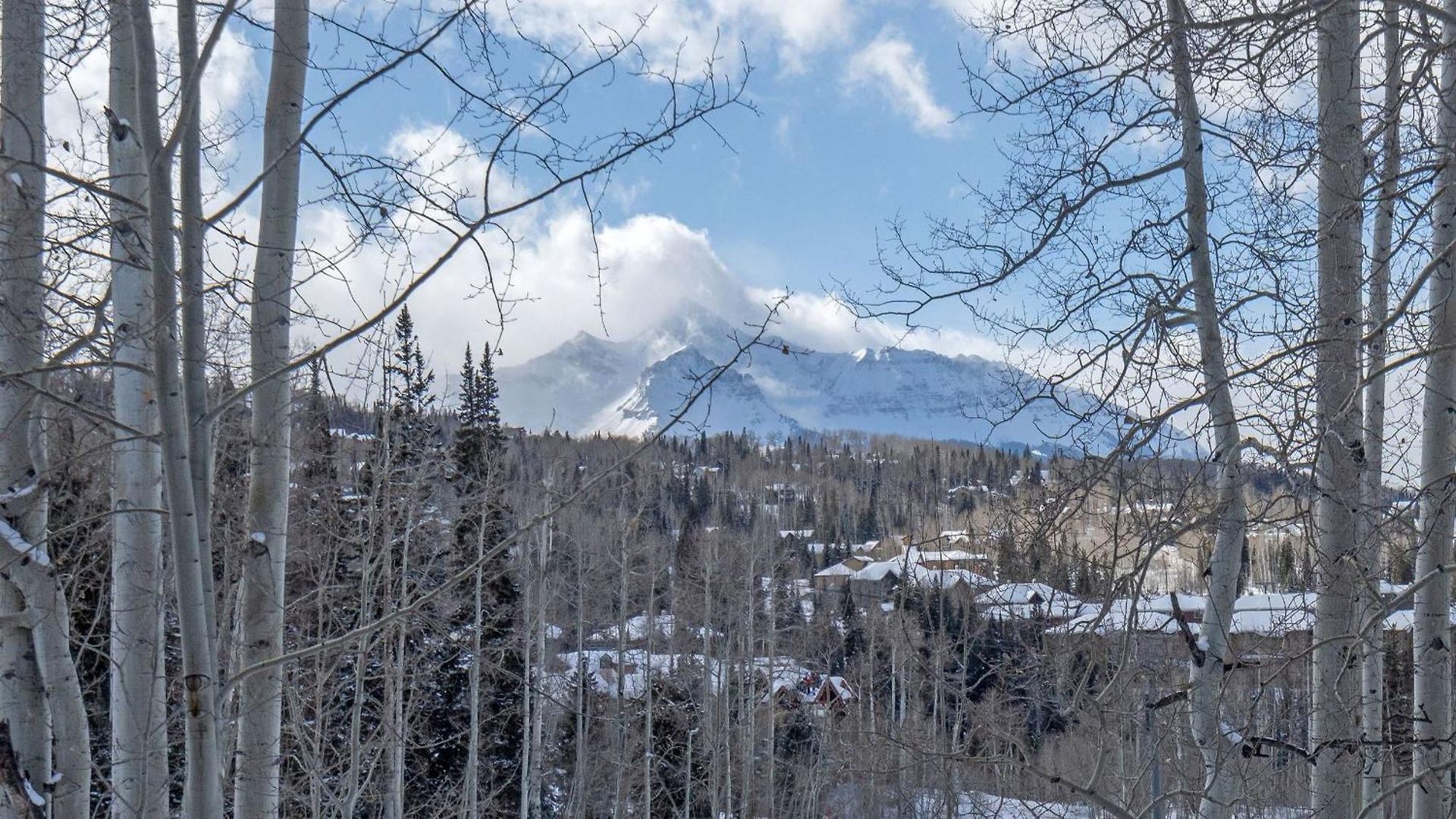 Apartment Emerald Elk At Village Creek By Avantstay Telluride