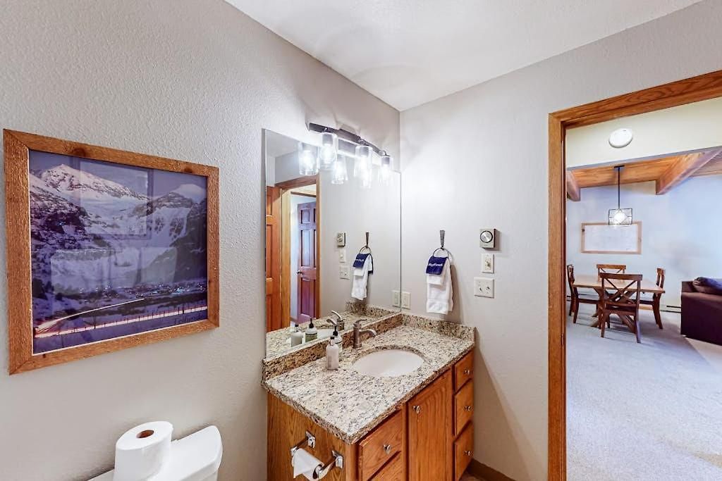 Apartment Riverside A02 - Riverside Chickadee Telluride