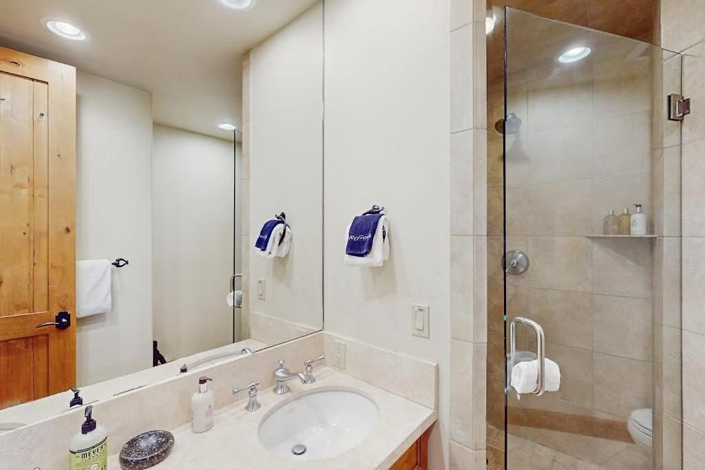 At Tristant 209 - San Sophia View * Telluride