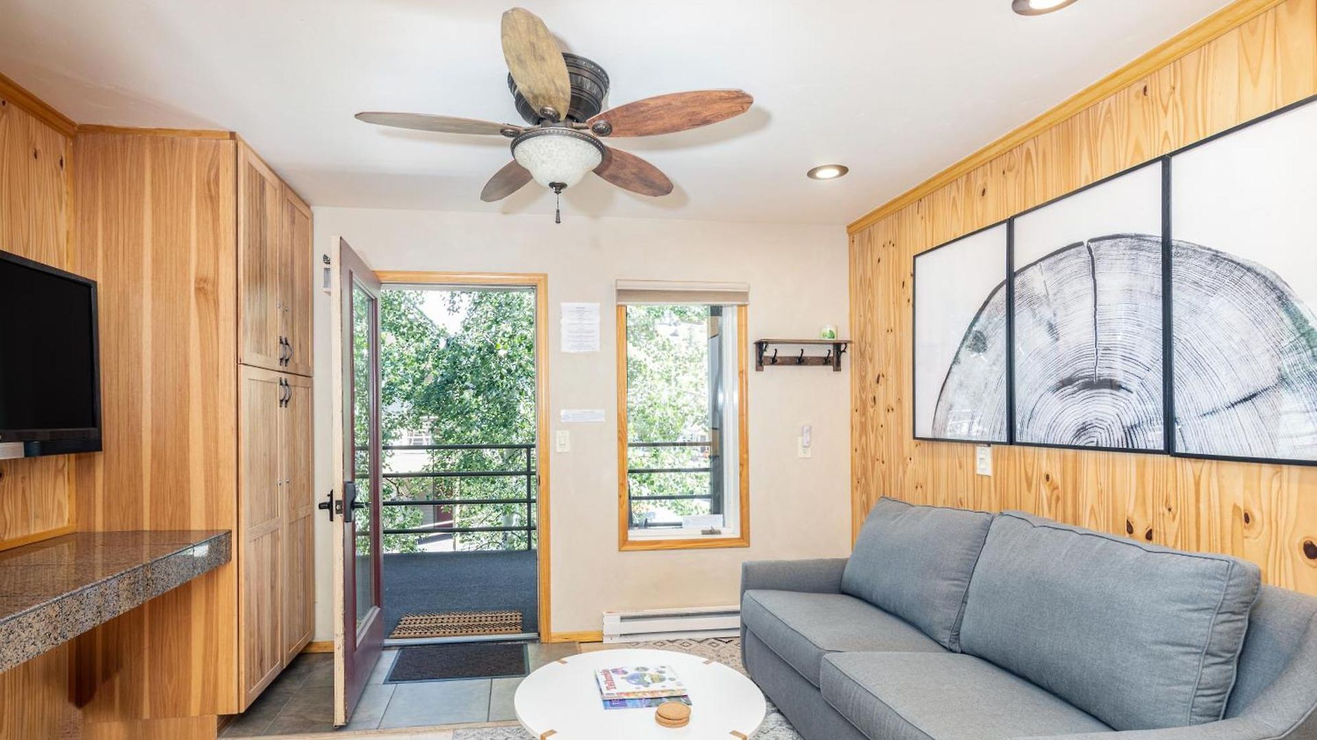 Apartment Viking 313 Telluride