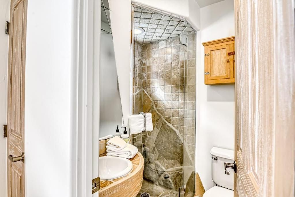 Apartment Double Diamond Ski-in/ski-out *