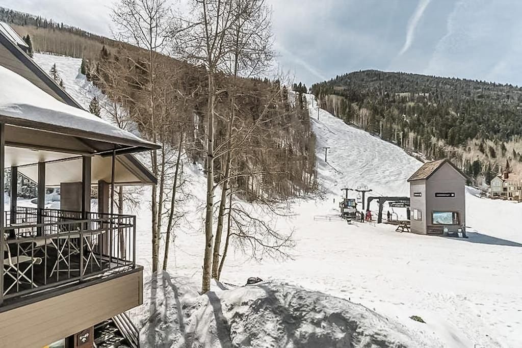 Cimarron Mountain Retreat Apartment Telluride