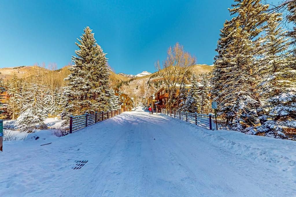 Riverside A02 - Riverside Chickadee Apartment Telluride