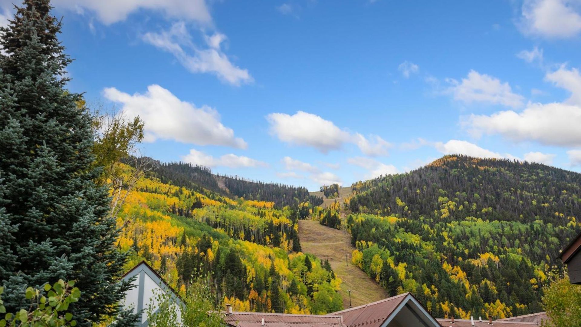 Big & Bright Hidden Gem With Garage, Hot Tub, Lux Kitchen Telluride