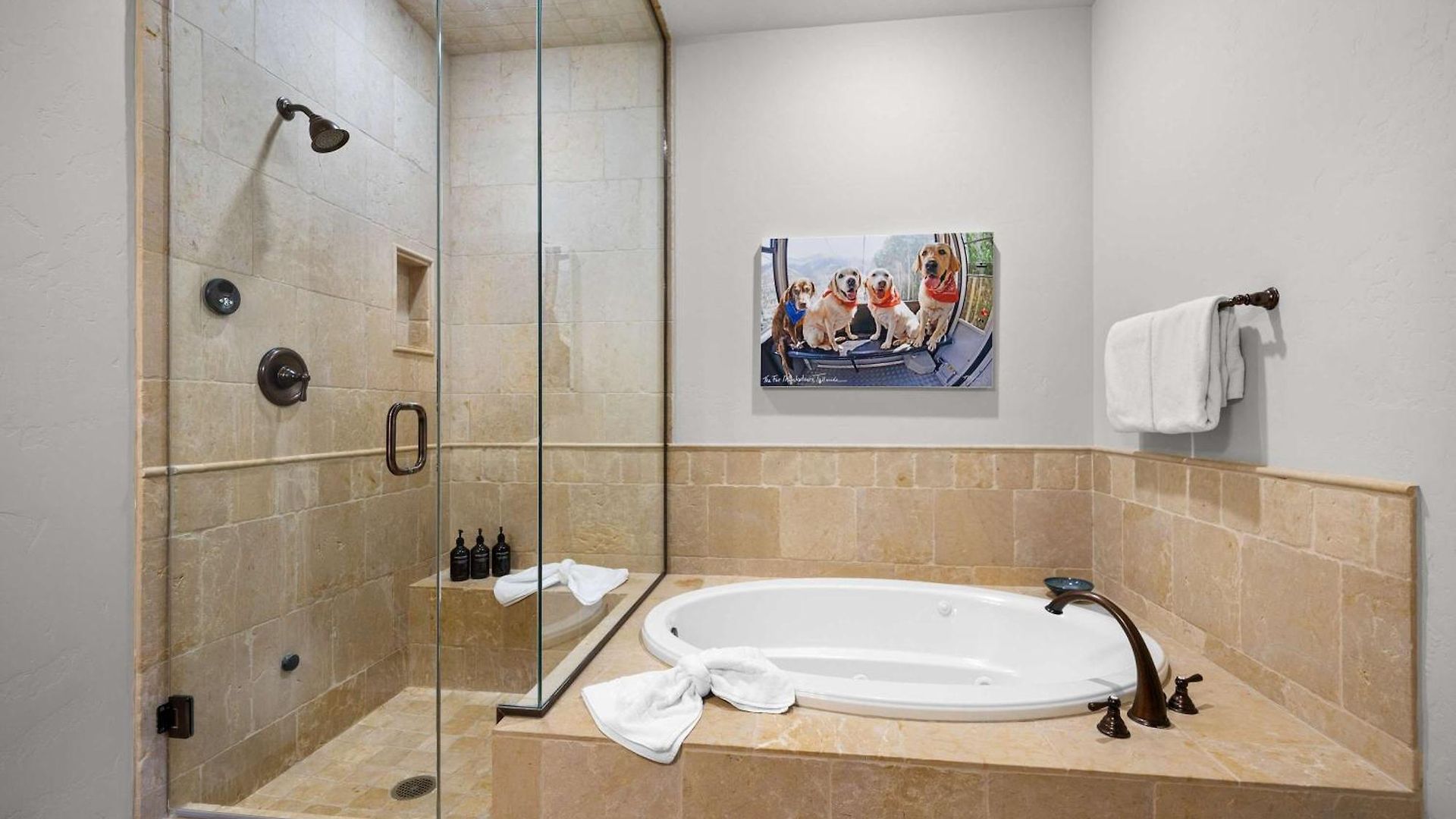Holiday home Mountain Village Retreat Hot Tub Ski-inout Telluride