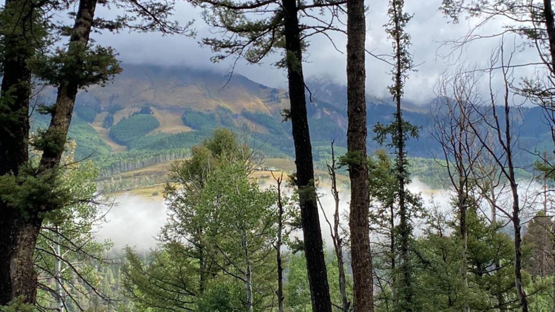 Adams Ranch Rd 259 ~ Summit Vista Telluride