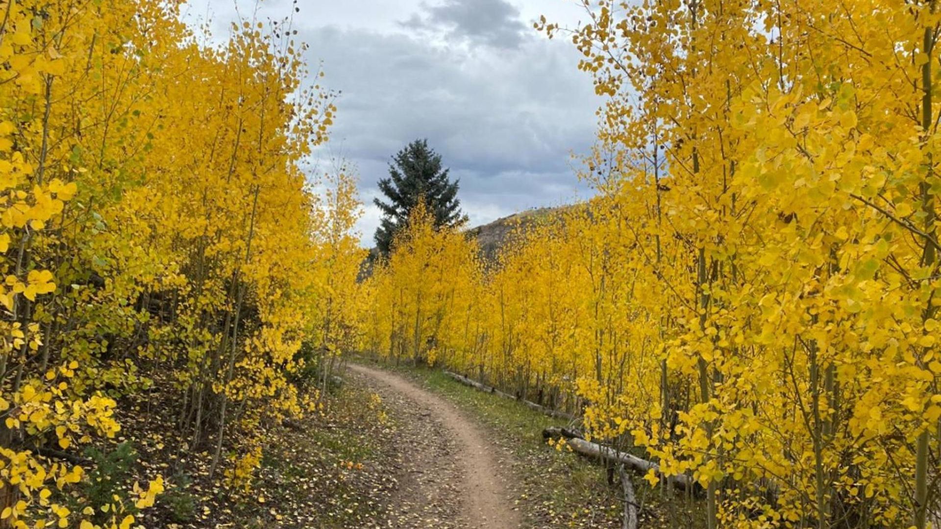 Adams Ranch Rd 259 ~ Summit Vista *