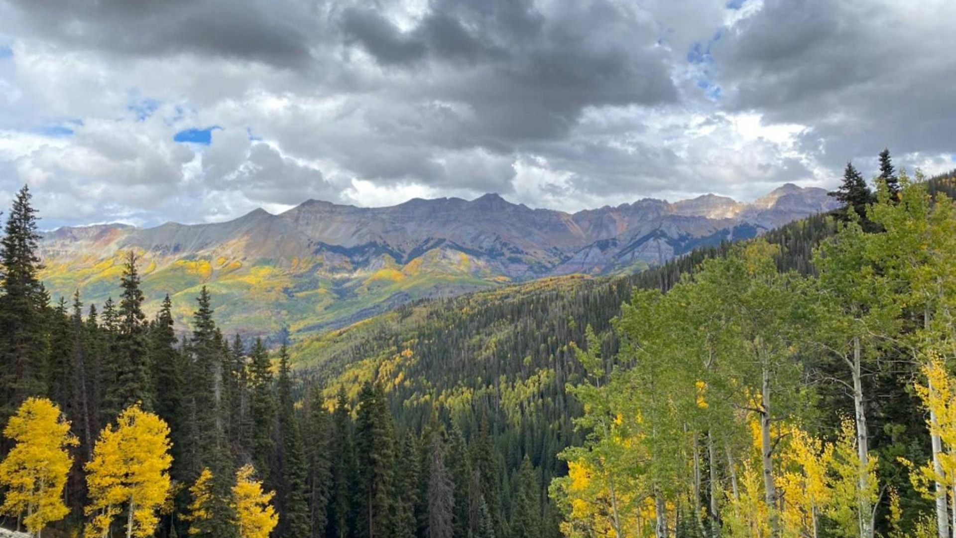 Adams Ranch Rd 259 ~ Summit Vista *