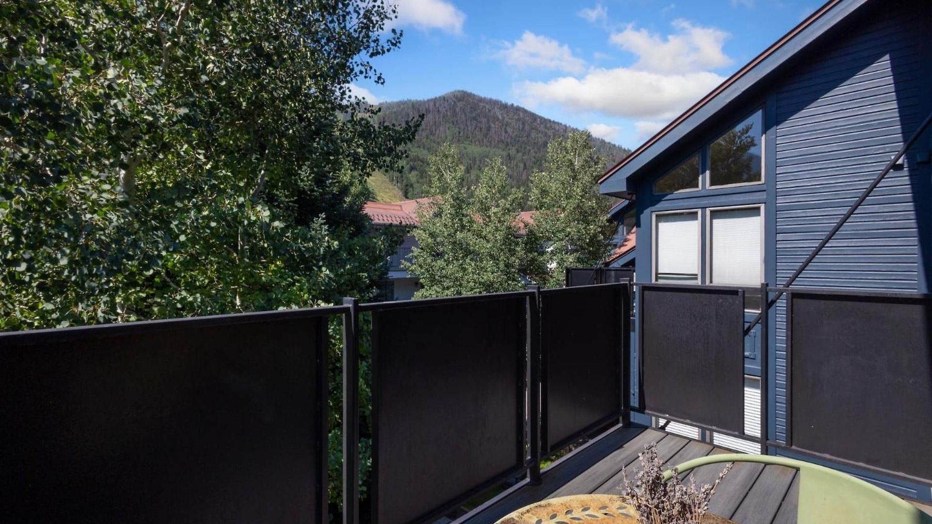 Big & Bright Hidden Gem With Garage, Hot Tub, Lux Kitchen Apartment Telluride