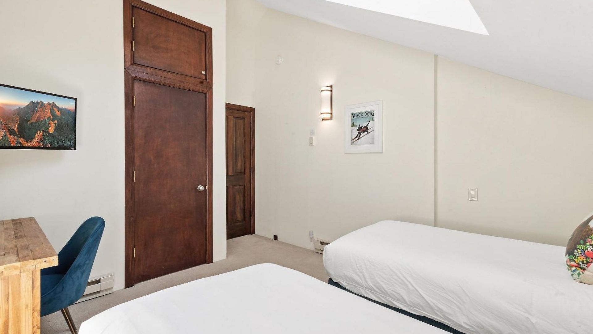 Apartment Big & Bright Hidden Gem With Garage, Hot Tub, Lux Kitchen Telluride