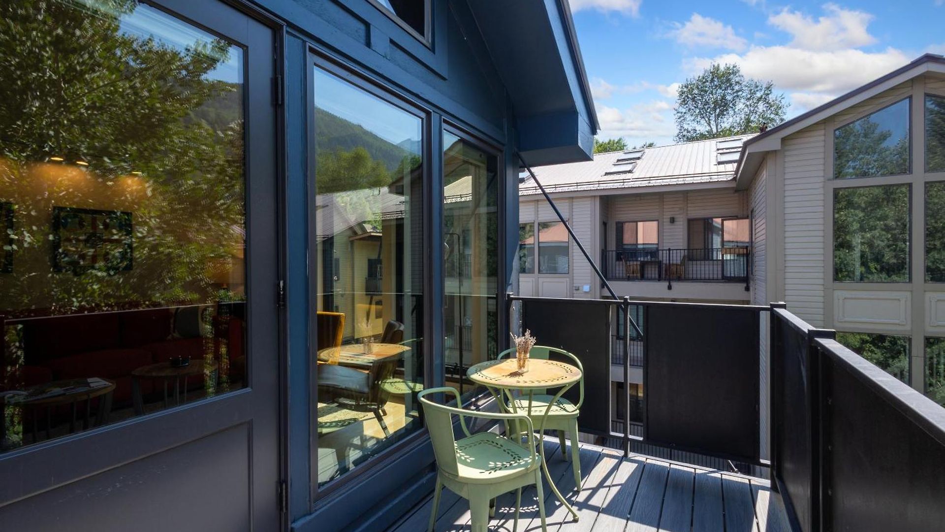 Big & Bright Hidden Gem With Garage, Hot Tub, Lux Kitchen Apartment Telluride