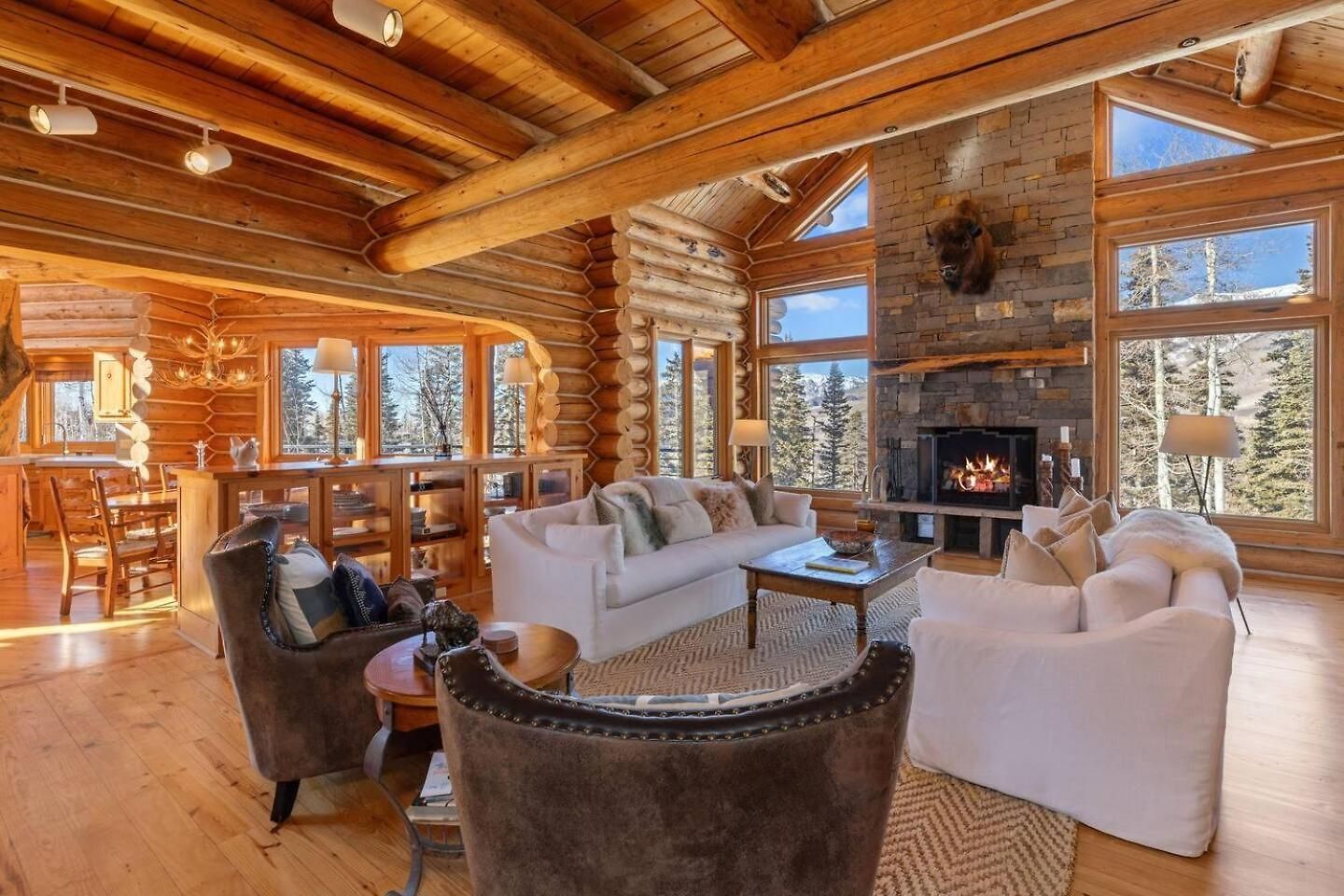 Luxury Ski-in/ski-out Alpine * Telluride