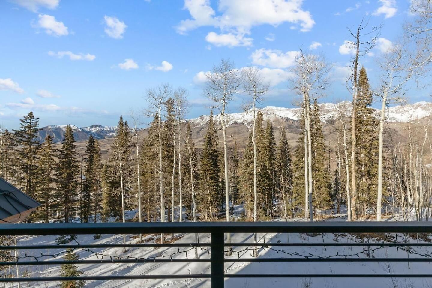 Luxury Ski-in/ski-out Alpine
