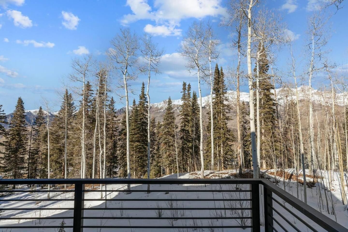 Luxury Ski-in/ski-out Alpine *