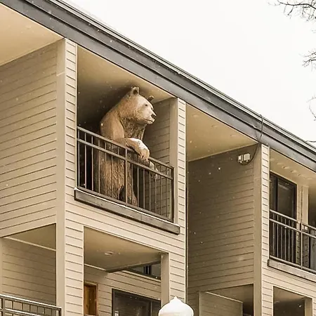 Cimarron Mountain Retreat Apartment