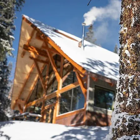 Red Mountain Alpine Holiday home Telluride