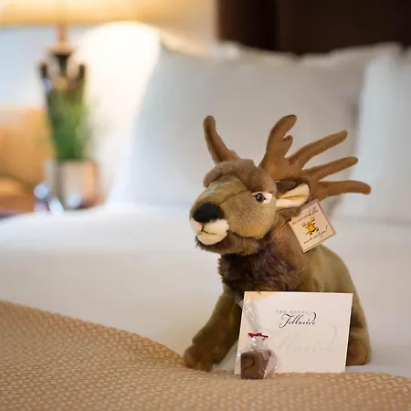 The 4* Telluride