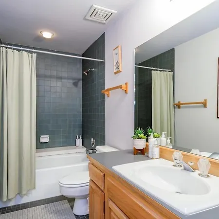 Apartment In Out Lift 7! Deck, Hot Tub, Garage Parking Telluride