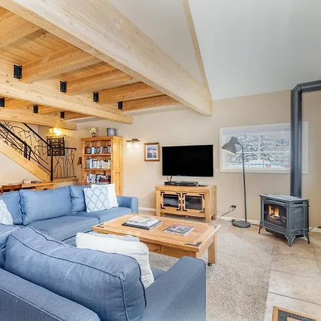 Viking 100ab Apartment Telluride