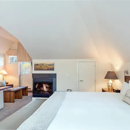 Columbia Penthouse 40-44 * Telluride