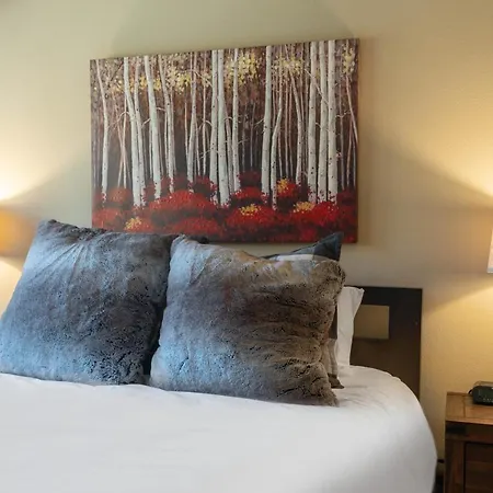 Holiday home Lulu City 5B By Avantstay Telluride