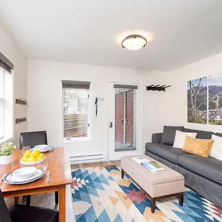 Apartment Cloud Nine, Walk To Gondola, Floor On River & Hot Tub Telluride