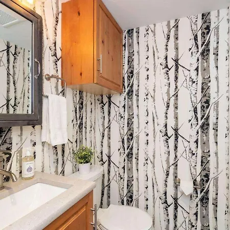 Hike & Bike In Mountain Village Core - Location, Balconies! Apartment