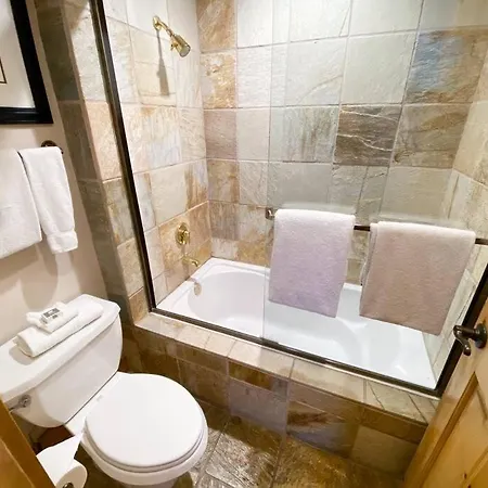 2br Mountain Luxury Skiin Out Amenities Holiday home