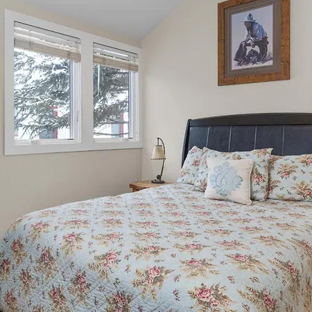 West Willow 5 Holiday home Telluride